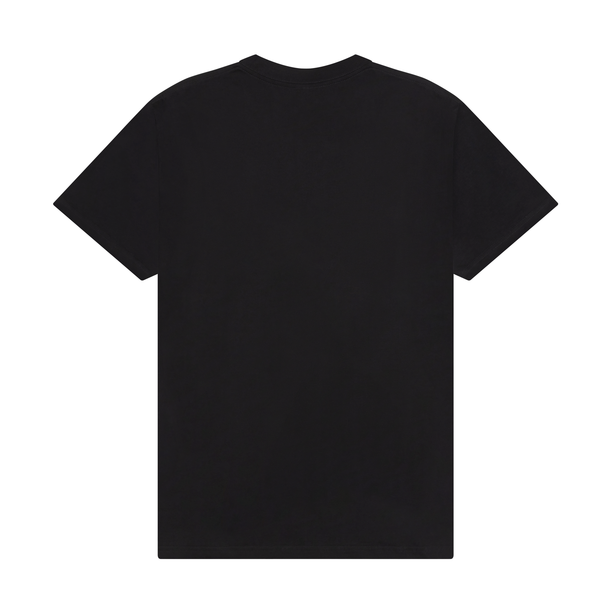 Mumford & Sons - Black Embroidered Wings T-Shirt